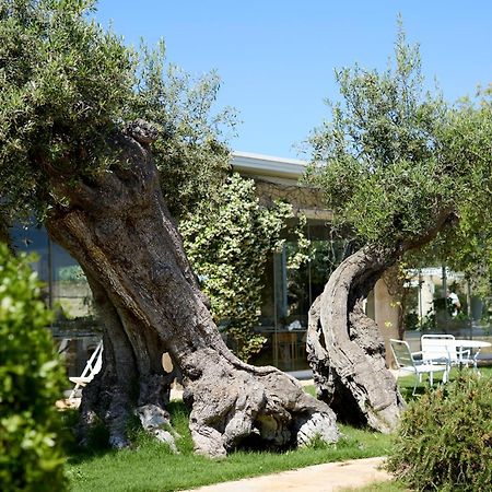 Masseria Torre Del Diamante Torre Canne Exteriér fotografie