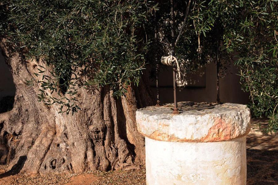 Masseria Torre Del Diamante Torre Canne Exteriér fotografie