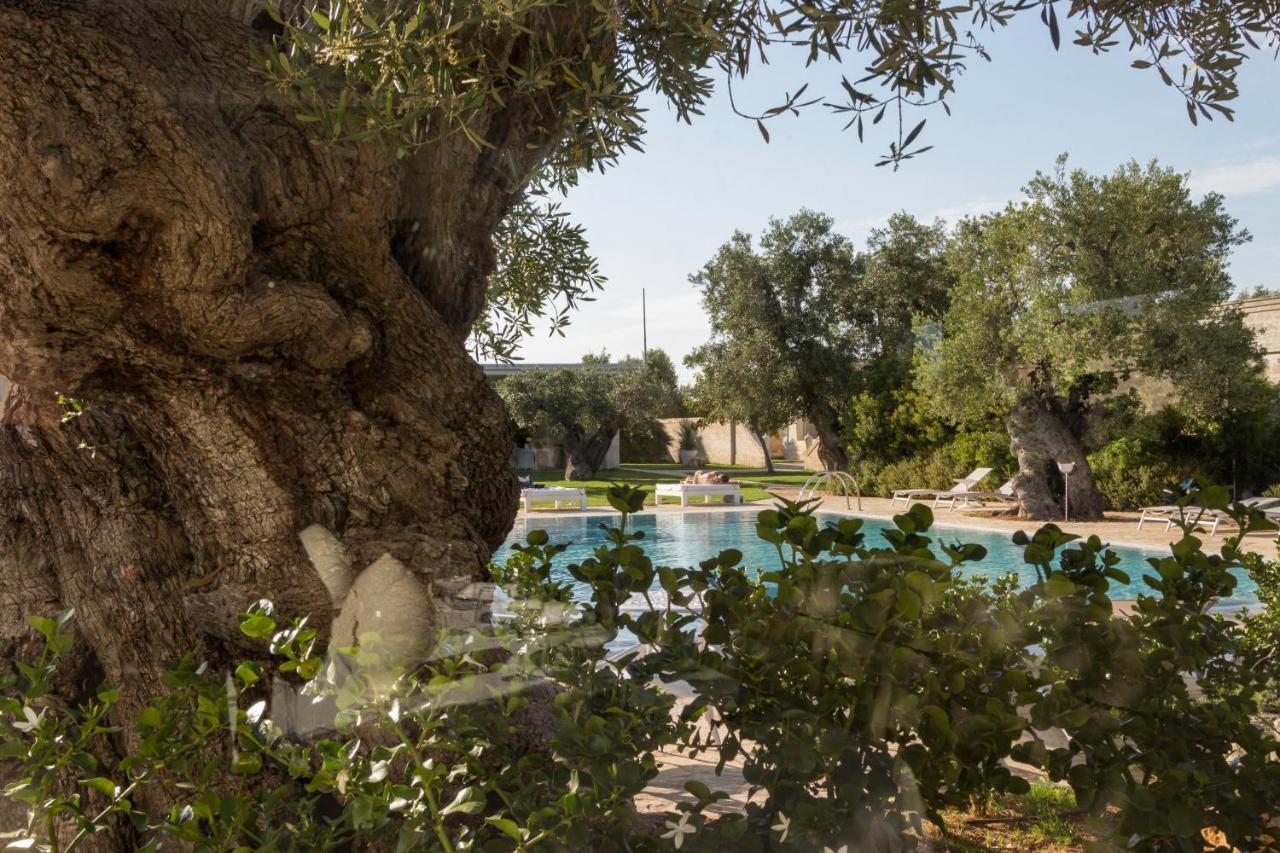 Masseria Torre Del Diamante Torre Canne Exteriér fotografie