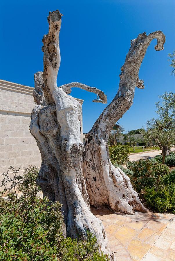 Masseria Torre Del Diamante Torre Canne Exteriér fotografie